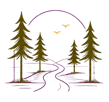 Pine Forest Walks